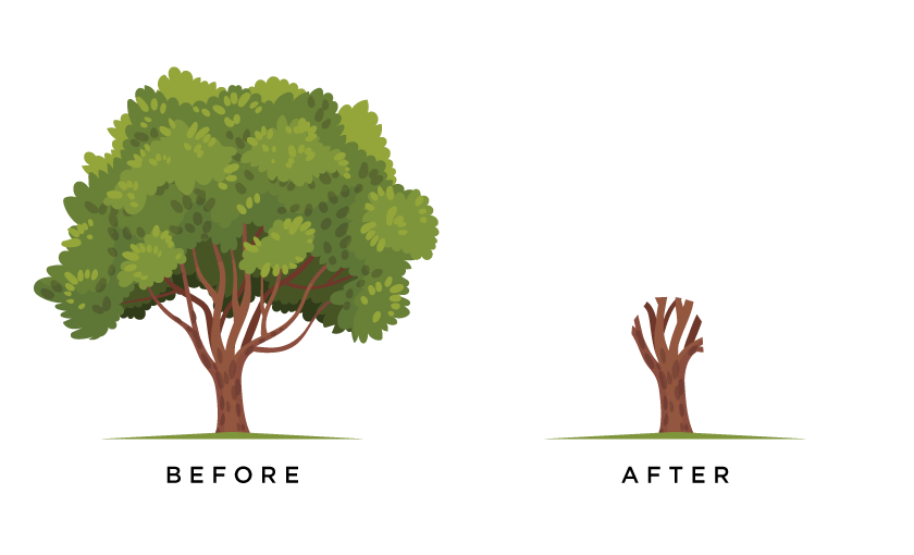 Tree Pollarding Tree Services - Landcare